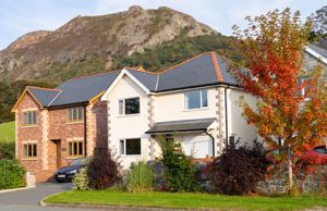 Photo 41- click for photo gallery